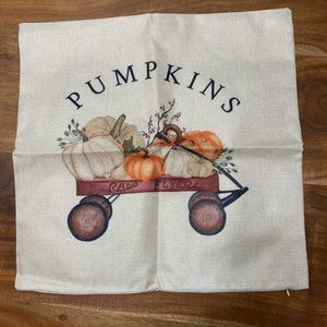 Pumpkin pillow cover fall decor